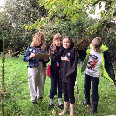 Visiting the Community Gardens